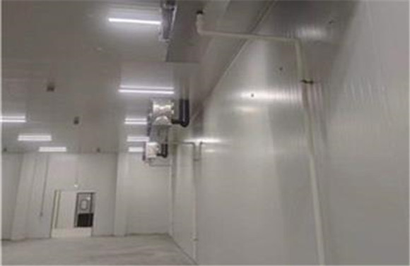 北京同仁堂藥廠醫(yī)藥冷庫工程項目