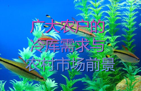 廣大農戶的冷庫需求與市場前景.jpg