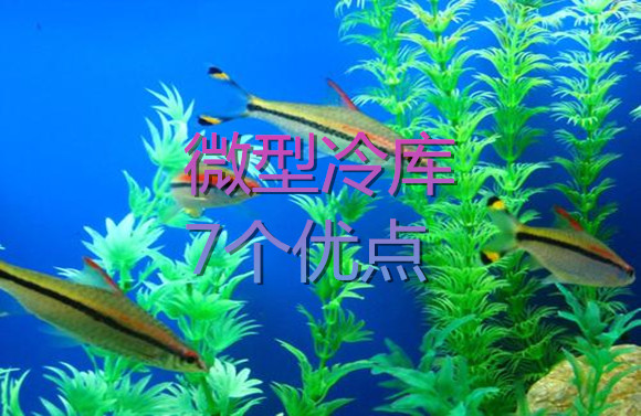 微型冷庫(kù)7個(gè)優(yōu)點(diǎn).jpg