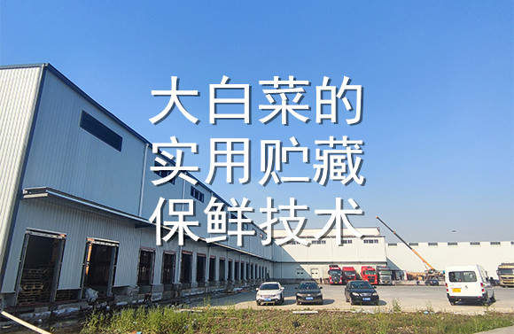 大白菜的實用貯藏保鮮技術(shù).jpg