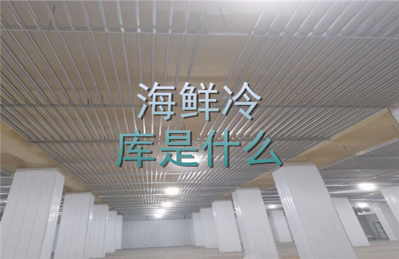 海鮮冷庫(kù)是什么.jpg