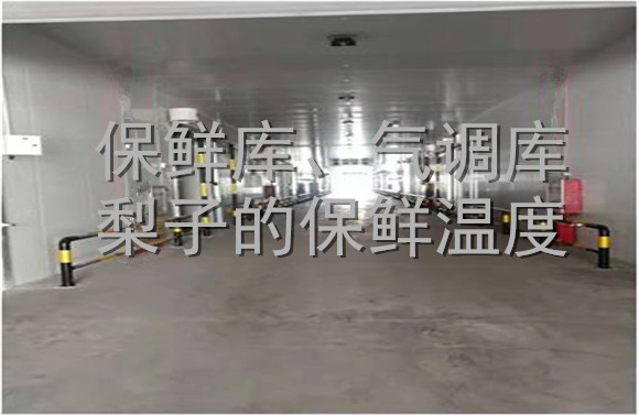 保鮮庫、氣調(diào)庫梨子的保鮮溫度.jpg
