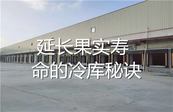 延長(zhǎng)果實(shí)壽命的冷庫(kù)秘訣.jpg