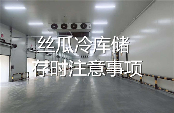 絲瓜冷庫儲存時(shí)注意事項(xiàng).jpg