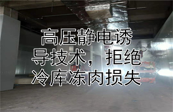 高壓靜電誘導技術，拒絕冷庫凍肉損失.jpg