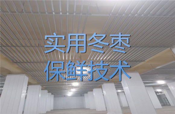 實用冬棗保鮮技術.jpg