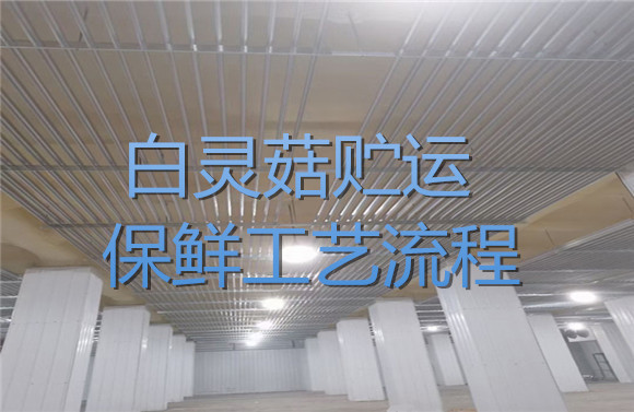 白靈菇貯運保鮮工藝流程.jpg