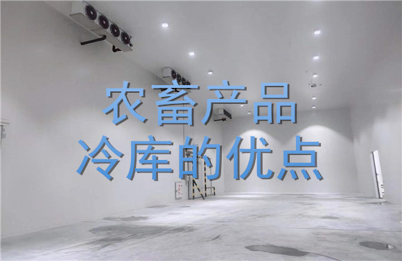農(nóng)畜產(chǎn)品冷庫的優(yōu)點(diǎn).jpg