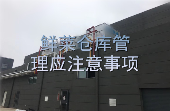 鮮菜倉庫管理應(yīng)注意事項.jpg