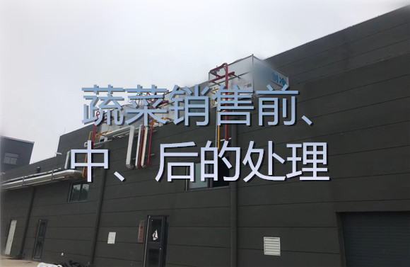 蔬菜銷(xiāo)售前、中、后的處理.jpg