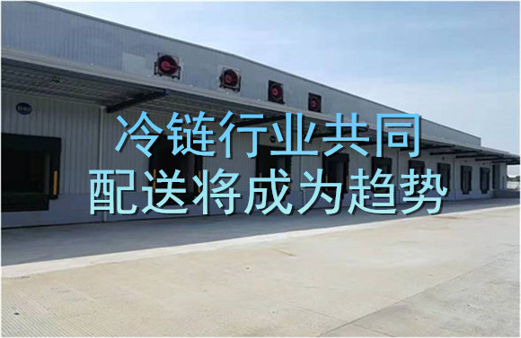 冷鏈行業(yè)共同配送將成為趨勢(shì).jpg