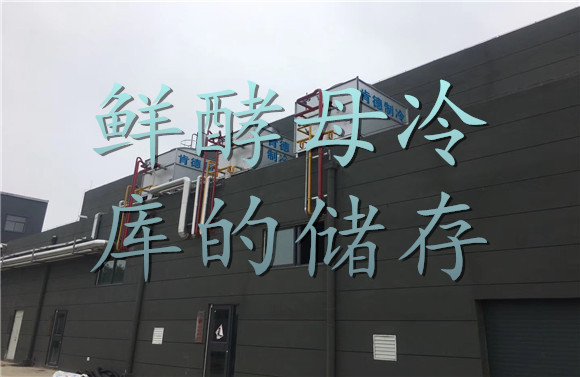鮮酵母冷庫(kù)的儲(chǔ)存.jpg