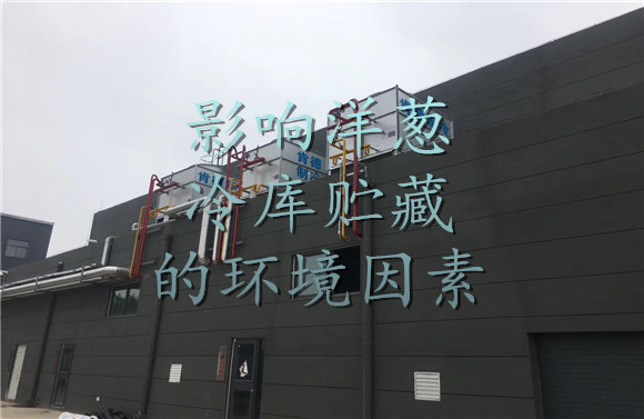 影響洋蔥冷庫(kù)貯藏的環(huán)境因素.jpg